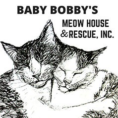 Baby Bobby's Meow House & Rescue Inc. Cat Drawing