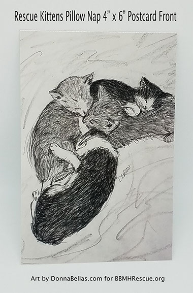 Pencil drawing "Rescue Kittens Pillow Nap" featuring four foster kittens cuddled together using each other as pillows while napping