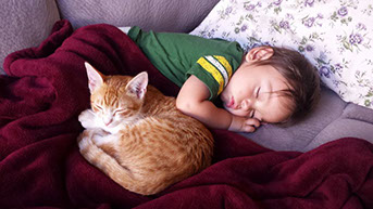 Sleeping toddler and rescue kitten taking nap together