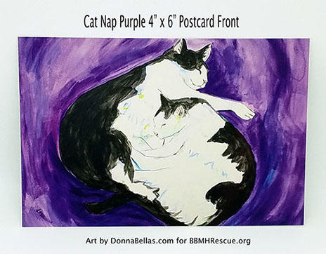 Painting "Cat Nap Purple" features two black and white cats snuggled together sleeping in a cat nap.